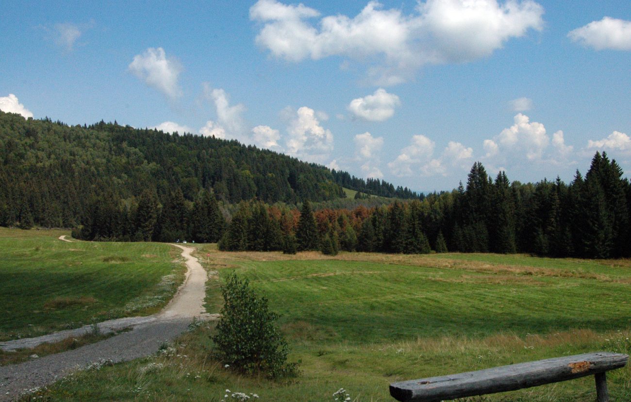 Traseul inspre Tinovul Mohosi