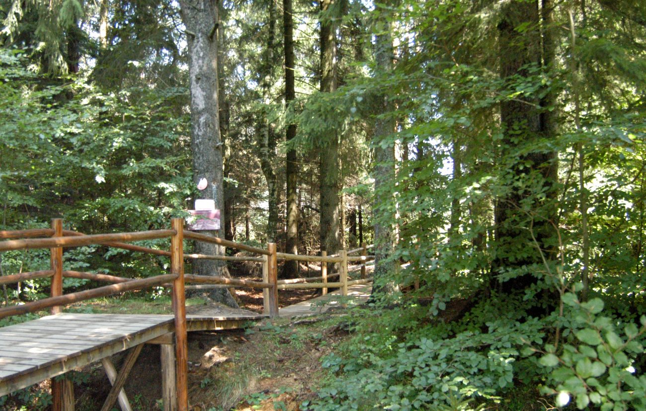 Intrare Tinovul Mohosi