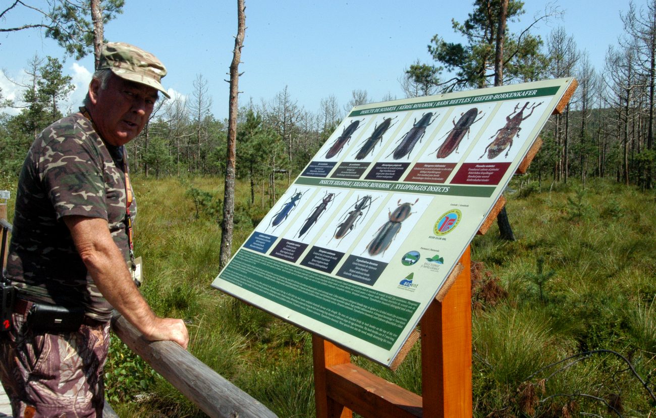 Ghid turistic Tinovul Mohosi