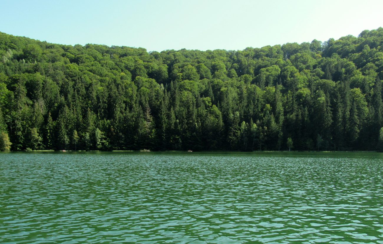 Padure si Lacul Sf. Ana